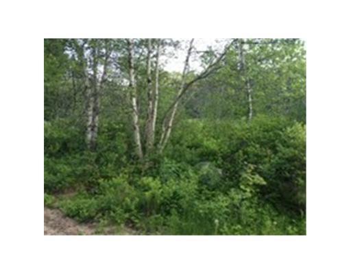 5 M5-l58 Map Road Sedgwick, ME 04676 - Photo 1 of 3 Land.