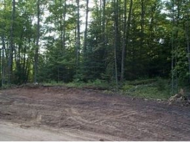 Lot 34 Kyle Court Mercer, WI 54547 - Photo 3 of 5 Gallery Image 3