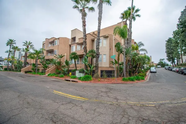 a picture of street with palm trees