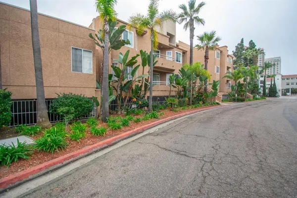 a view of a garden with a potted plants