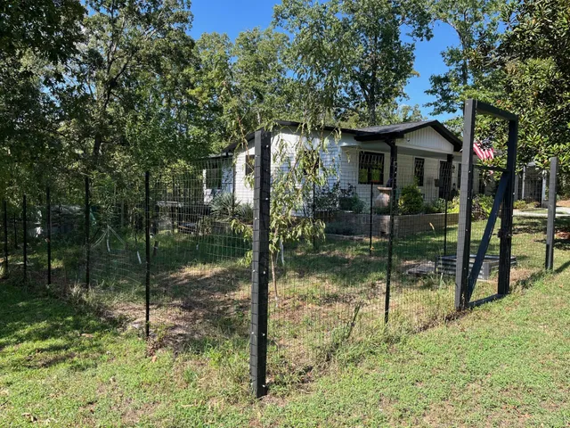 a view of a field with plants and trees