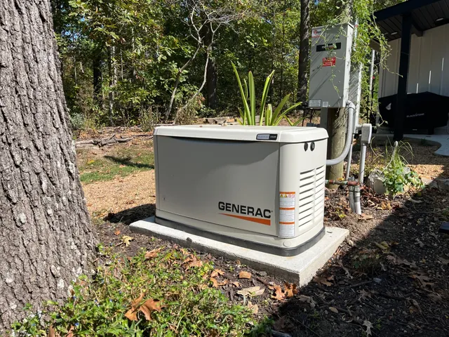 a view of a yard with trees