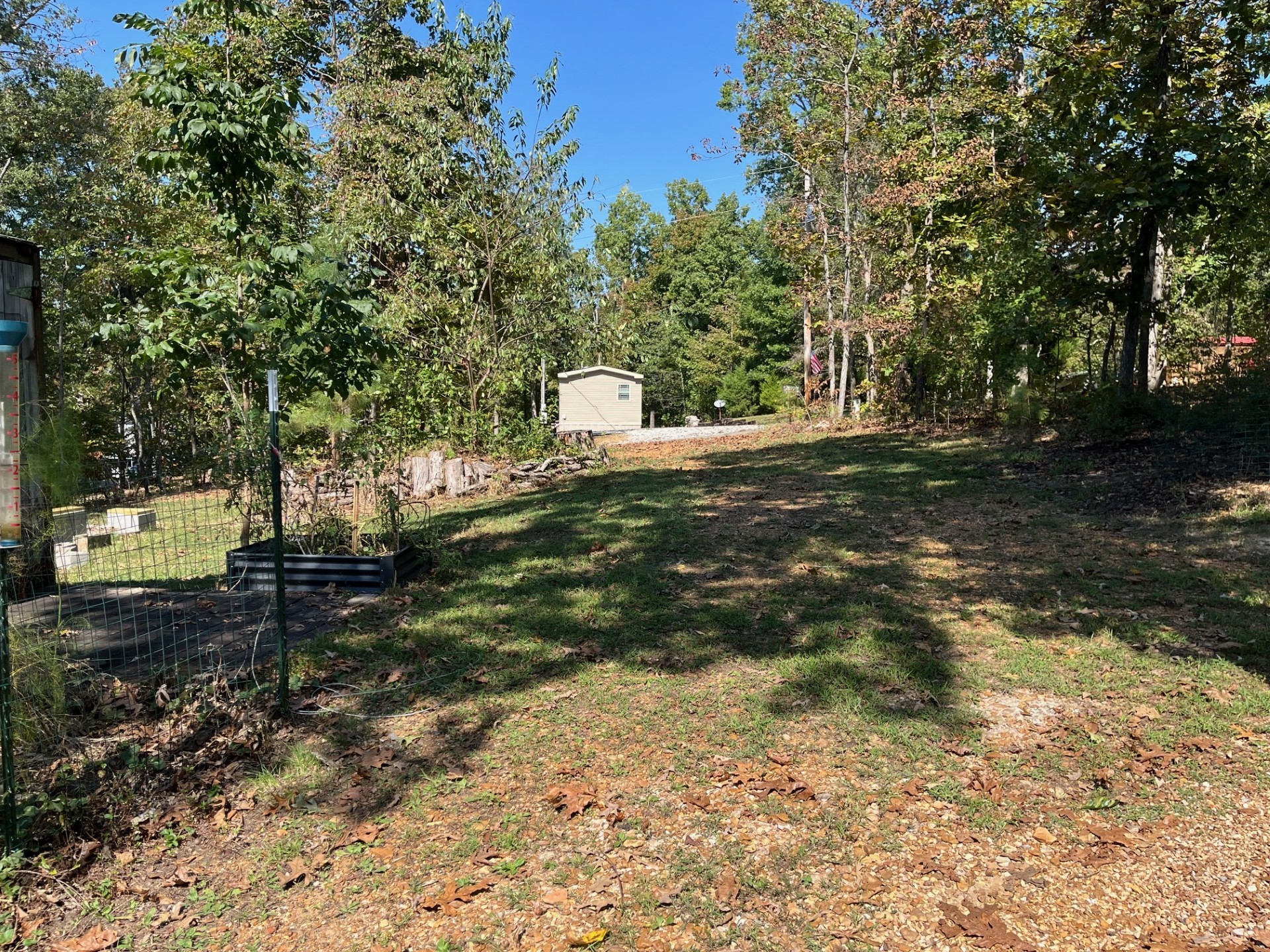 2785 Cypress Road Buchanan, TN 38222 - Photo 31 of 52 a view of a yard with plants and trees