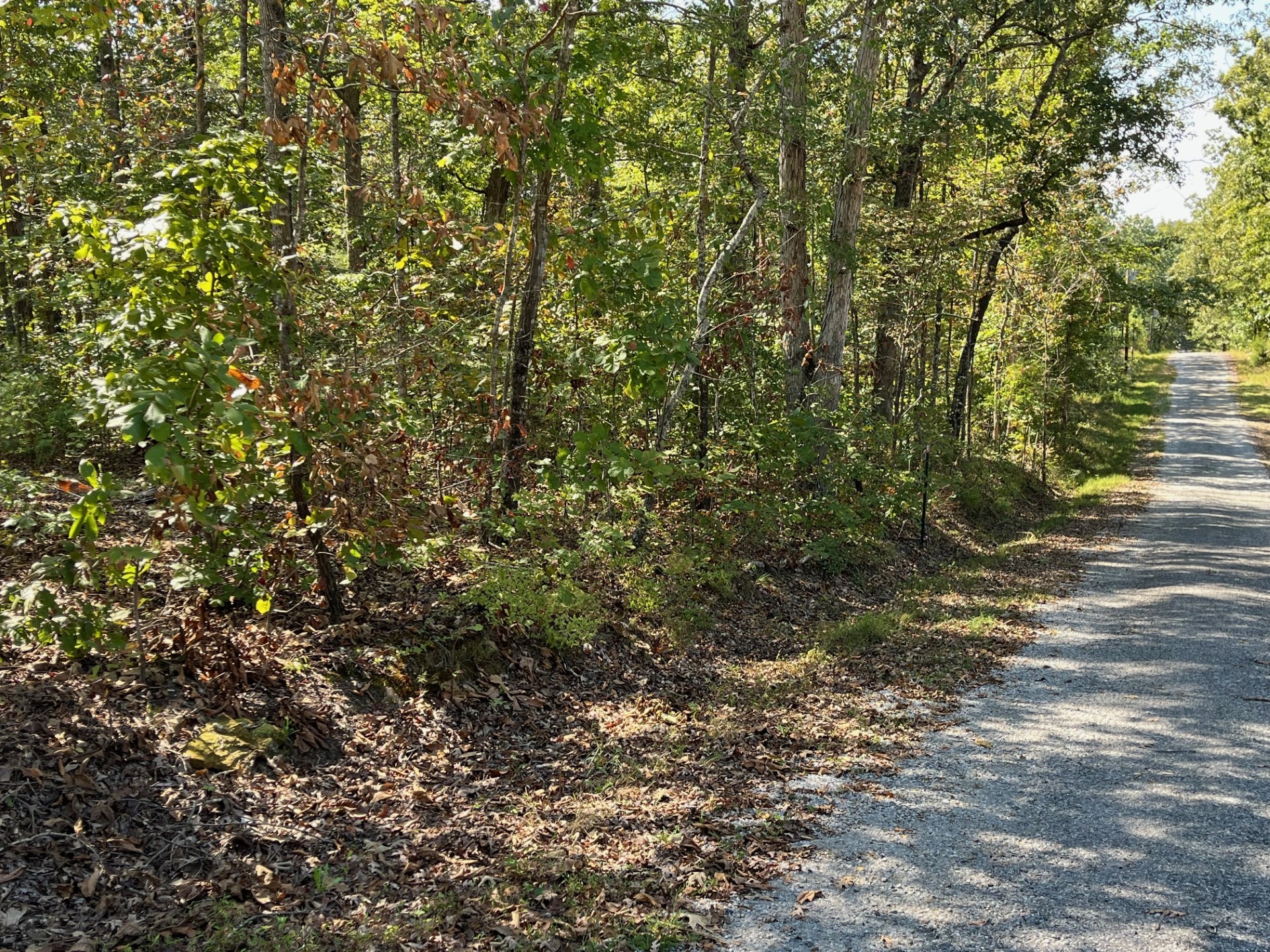 2785 Cypress Road Buchanan, TN 38222 - Photo 34 of 52 a view of a field with plants and trees