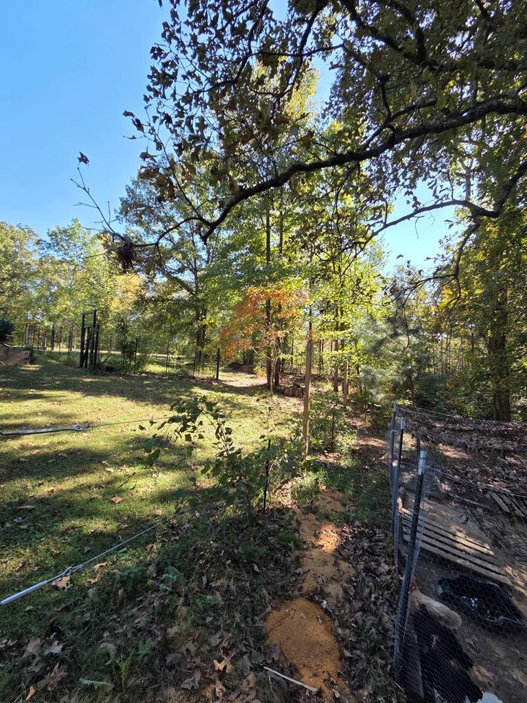 2785 Cypress Road Buchanan, TN 38222 - Photo 49 of 52 a view of yard with green space