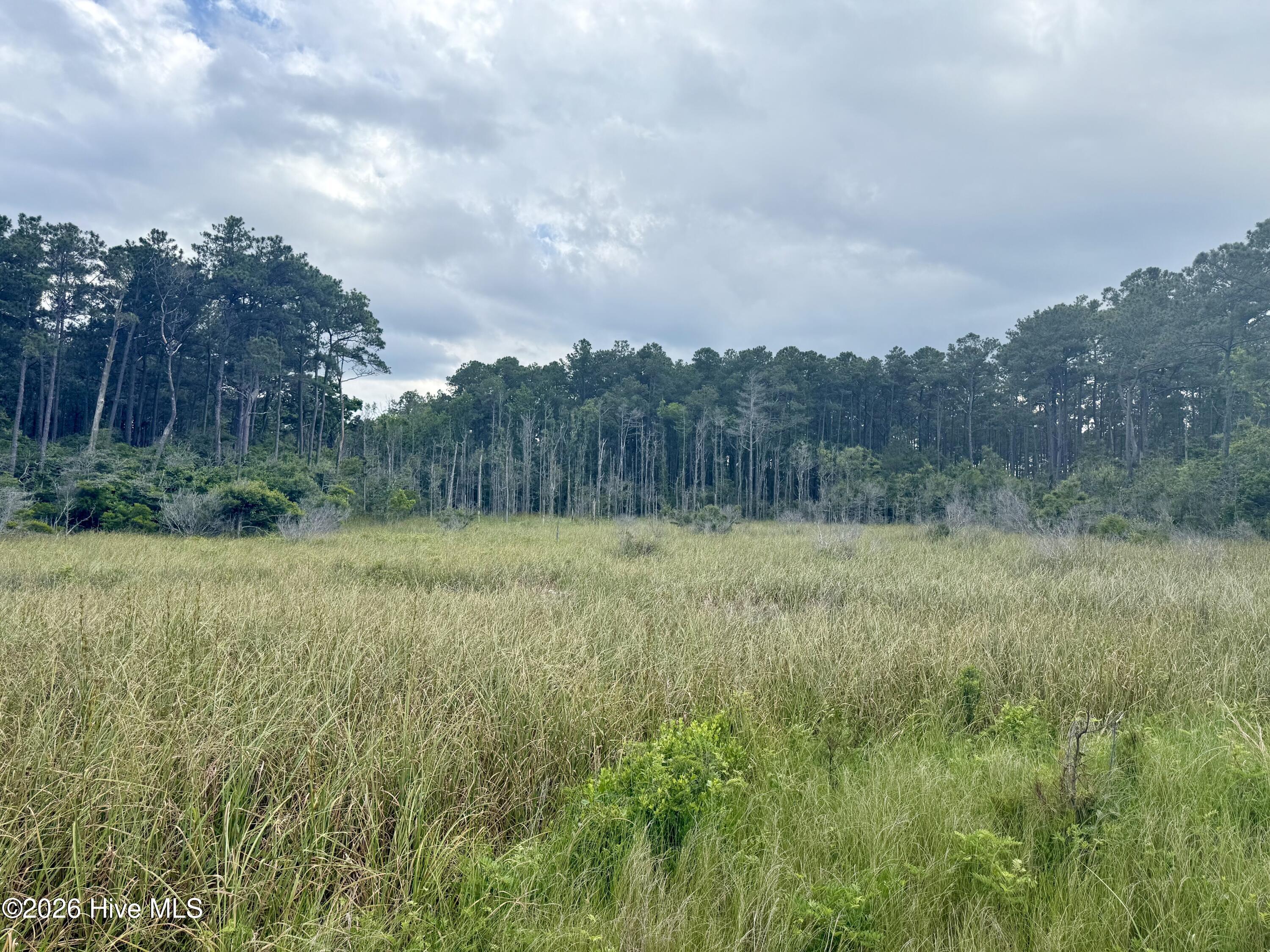 558 Sandy Point Drive Beaufort, NC 28516 - Photo 10 of 23