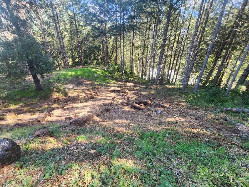 181 Ridge Road Shelter Cove, CA 95589 - Photo 8 of 9