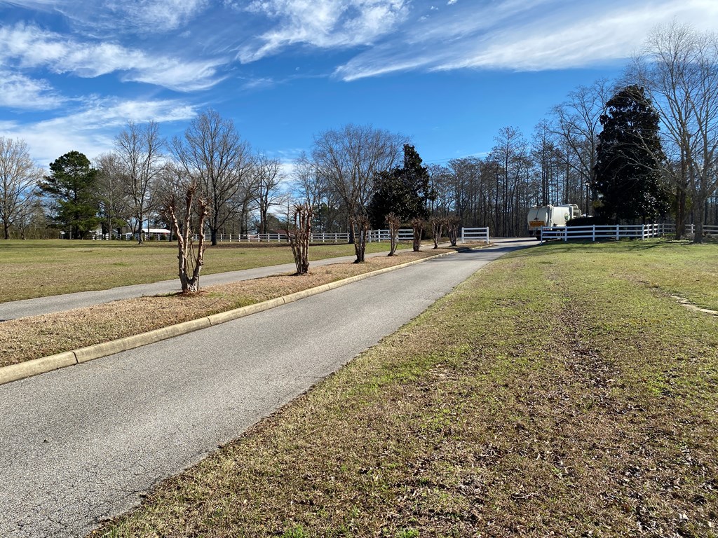 95 Williamson Way Dothan, AL 36301 - Photo 4 of 4