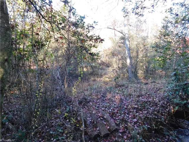 $125,000 | 0 Billings Hill Church Road, Traphill, NC 28685