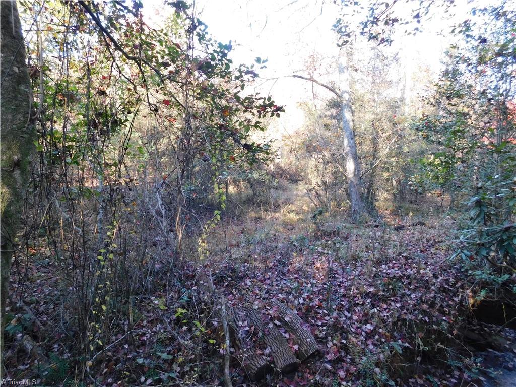 0 Billings Hill Church Road Traphill, NC 28685 - Photo 11 of 38