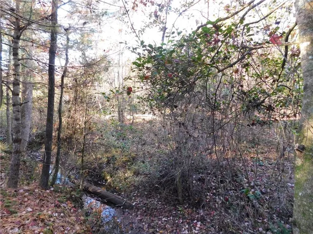 $125,000 | 0 Billings Hill Church Road, Traphill, NC 28685