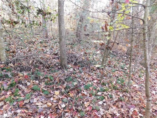 $125,000 | 0 Billings Hill Church Road, Traphill, NC 28685