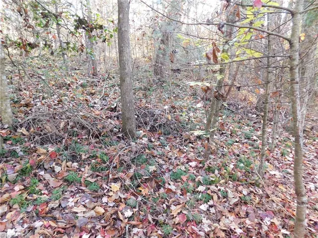 $125,000 | 0 Billings Hill Church Road, Traphill, NC 28685