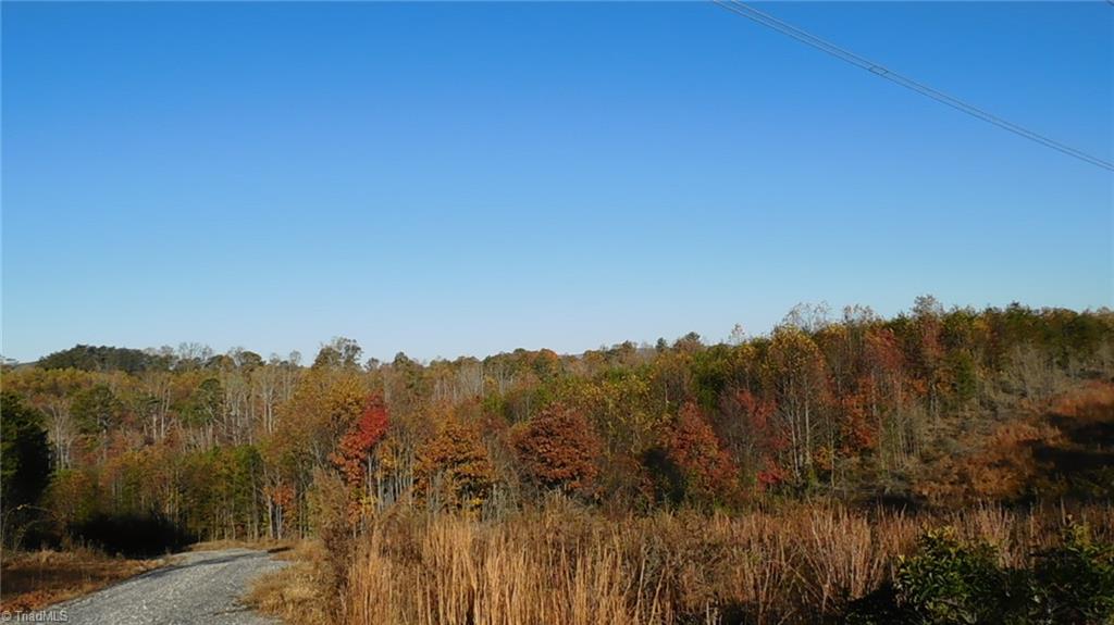 0 Billings Hill Church Road Traphill, NC 28685 - Photo 14 of 38