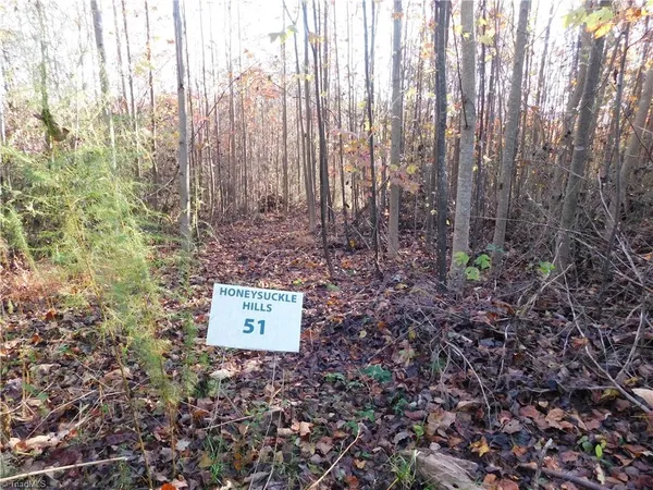 $125,000 | 0 Billings Hill Church Road, Traphill, NC 28685