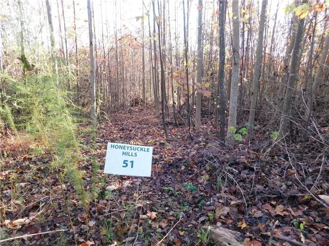 $125,000 | 0 Billings Hill Church Road, Traphill, NC 28685