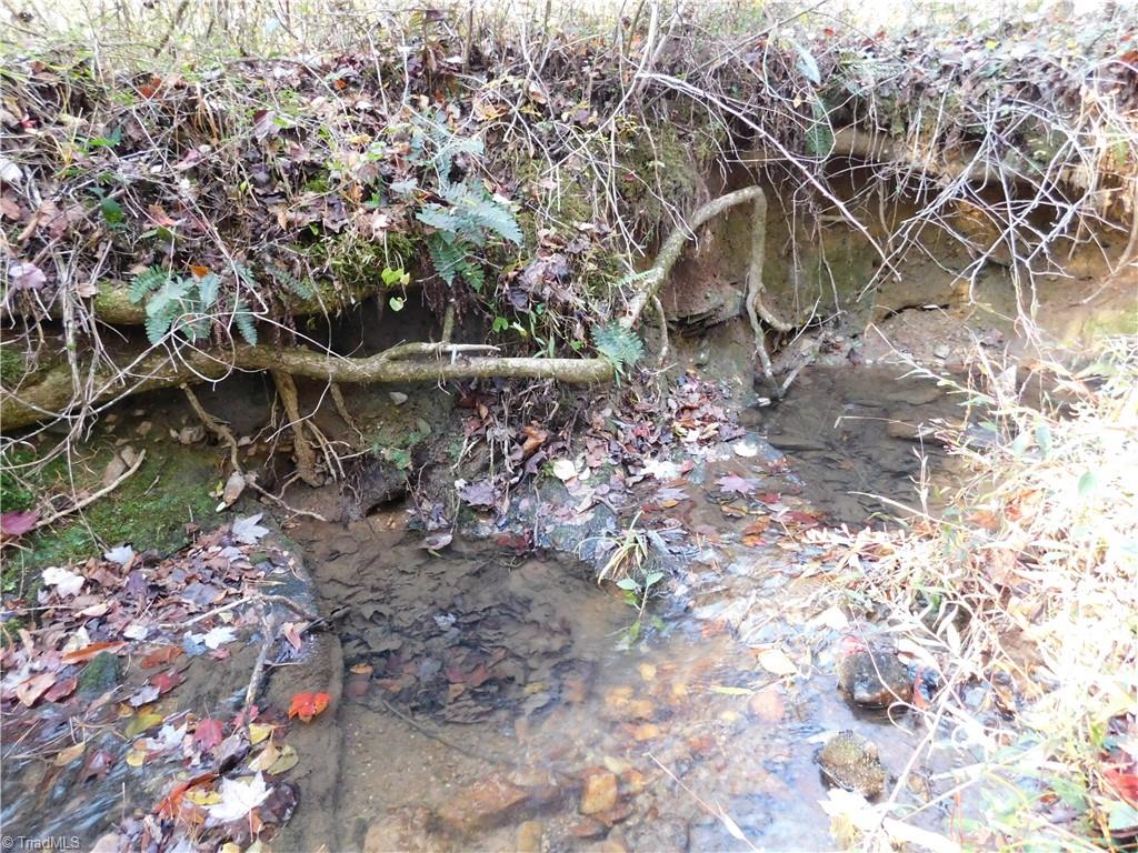 0 Billings Hill Church Road Traphill, NC 28685 - Photo 16 of 38