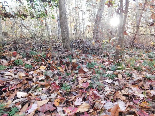 $125,000 | 0 Billings Hill Church Road, Traphill, NC 28685