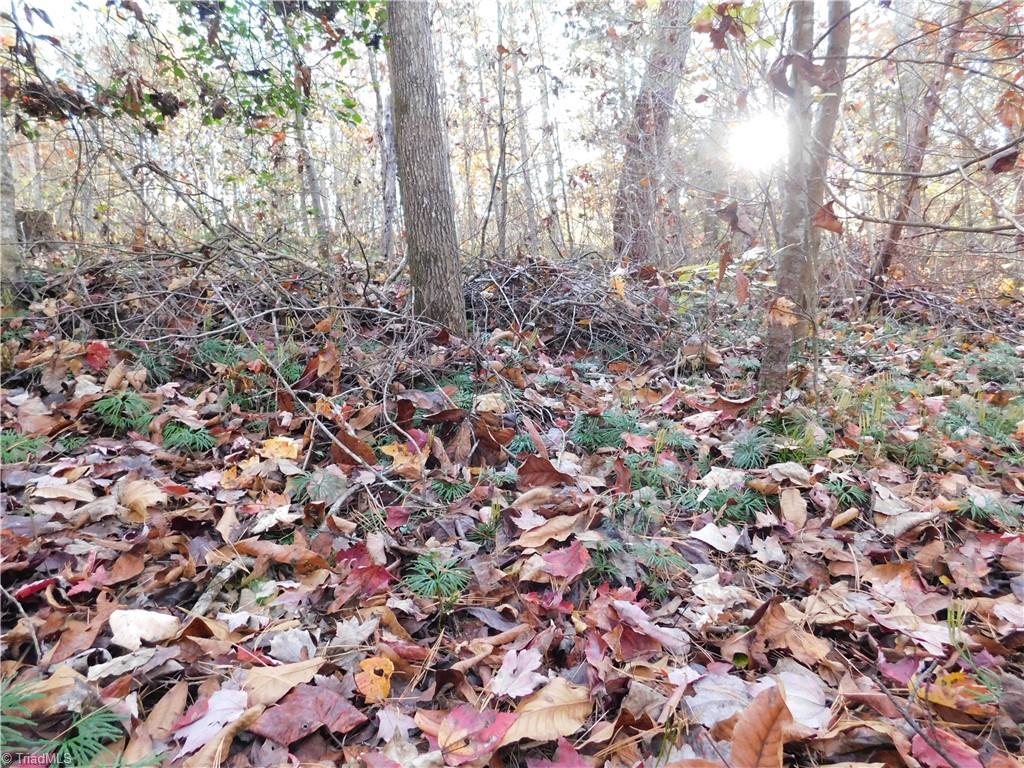 0 Billings Hill Church Road Traphill, NC 28685 - Photo 17 of 38