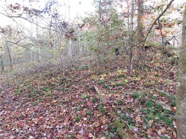 $125,000 | 0 Billings Hill Church Road, Traphill, NC 28685