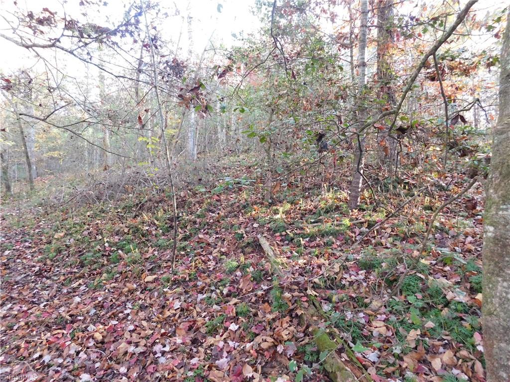 0 Billings Hill Church Road Traphill, NC 28685 - Photo 18 of 38