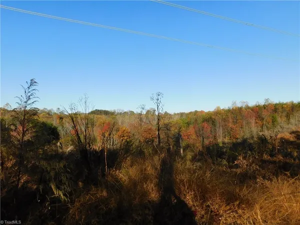 $125,000 | 0 Billings Hill Church Road, Traphill, NC 28685