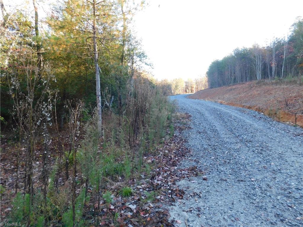 0 Billings Hill Church Road Traphill, NC 28685 - Photo 21 of 38