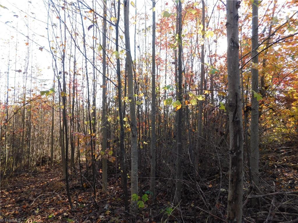 0 Billings Hill Church Road Traphill, NC 28685 - Photo 23 of 38