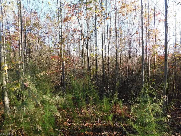 $125,000 | 0 Billings Hill Church Road, Traphill, NC 28685