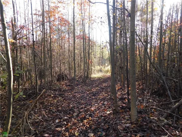 $125,000 | 0 Billings Hill Church Road, Traphill, NC 28685