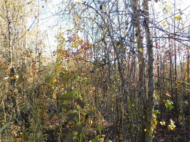 $125,000 | 0 Billings Hill Church Road, Traphill, NC 28685