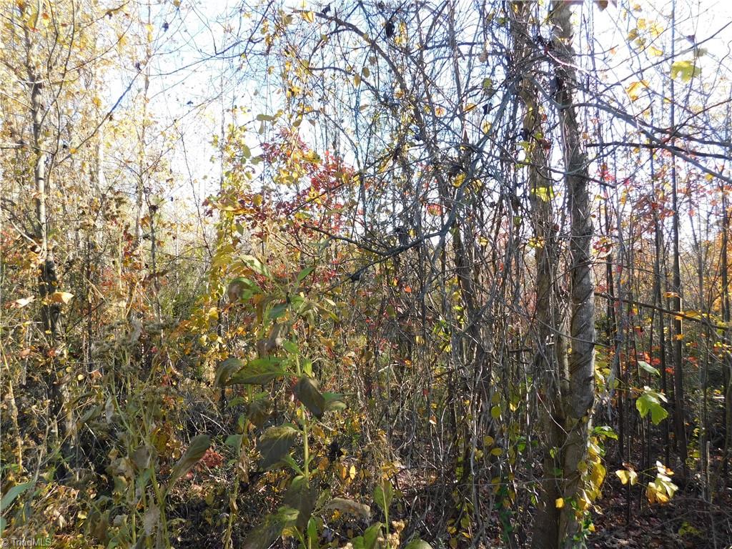 0 Billings Hill Church Road Traphill, NC 28685 - Photo 26 of 38