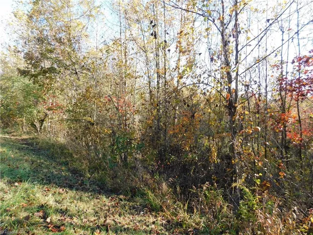 $125,000 | 0 Billings Hill Church Road, Traphill, NC 28685