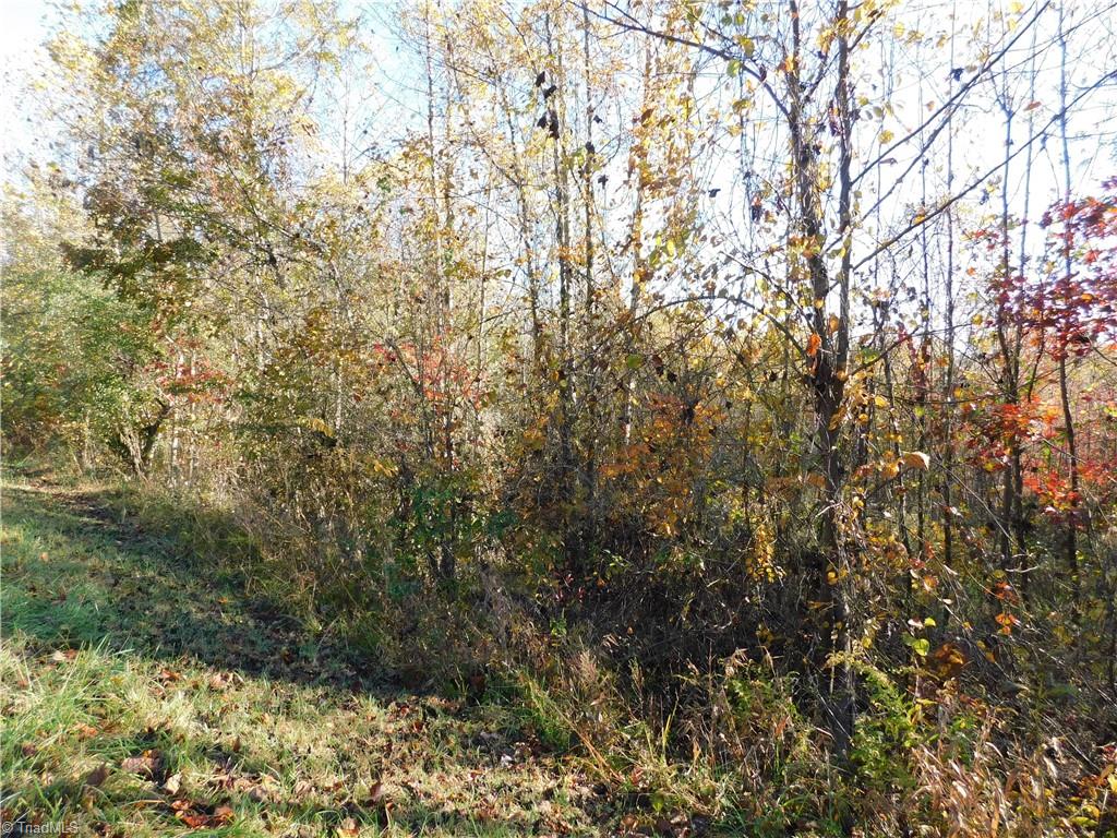 0 Billings Hill Church Road Traphill, NC 28685 - Photo 27 of 38