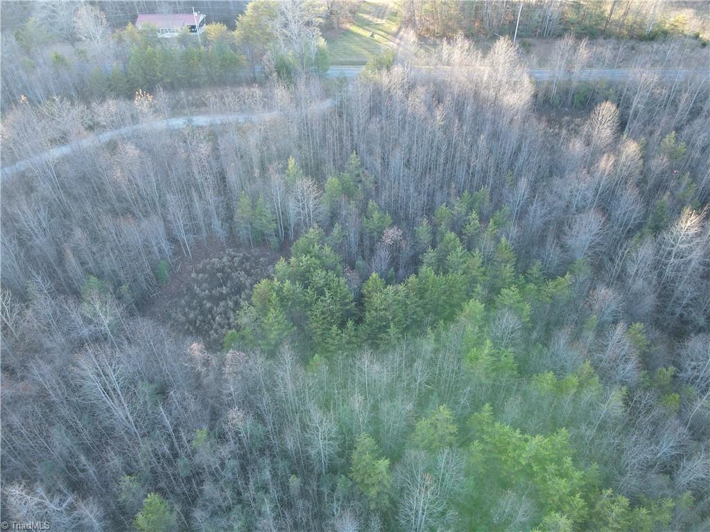 0 Billings Hill Church Road Traphill, NC 28685 - Photo 29 of 38