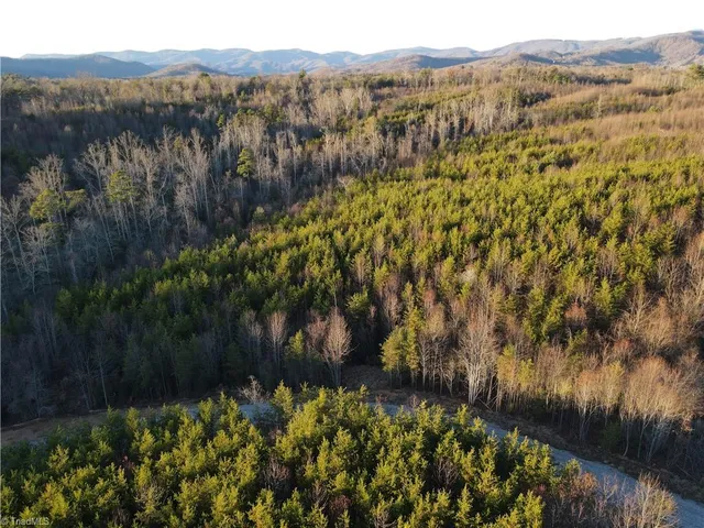 $125,000 | 0 Billings Hill Church Road, Traphill, NC 28685