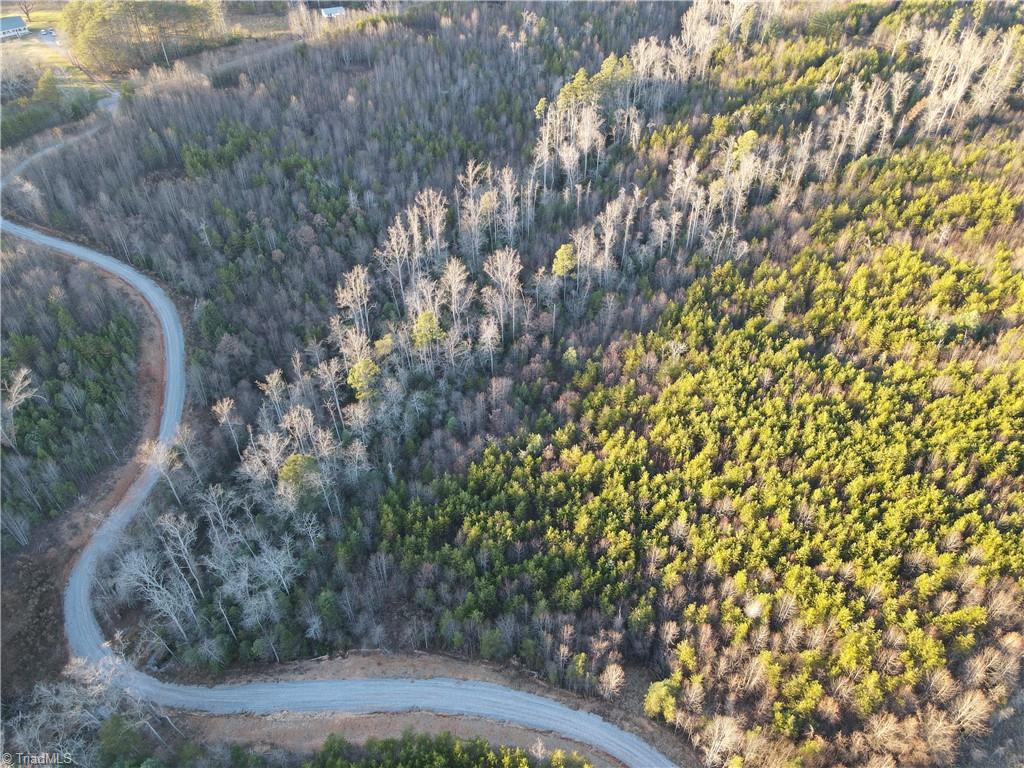 0 Billings Hill Church Road Traphill, NC 28685 - Photo 37 of 38