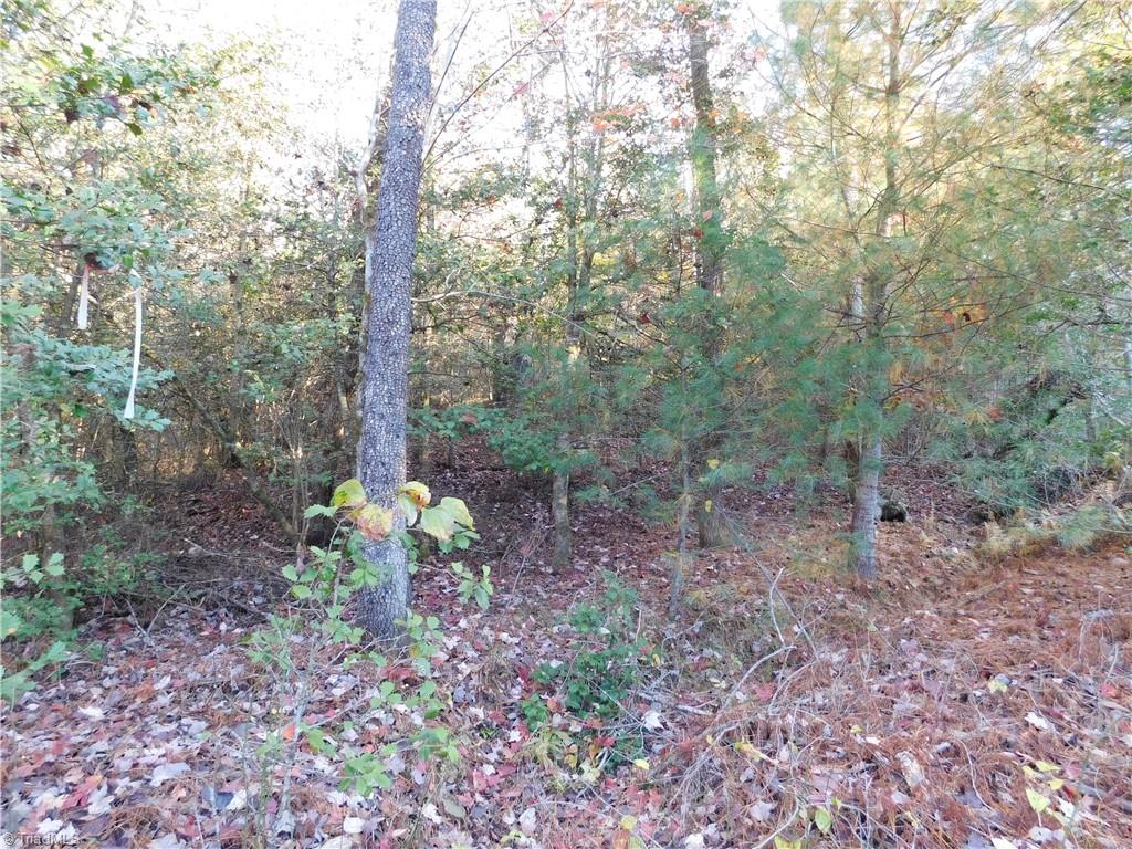 0 Billings Hill Church Road Traphill, NC 28685 - Photo 6 of 38