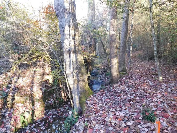 $125,000 | 0 Billings Hill Church Road, Traphill, NC 28685