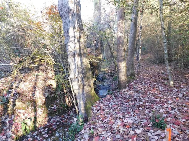 $125,000 | 0 Billings Hill Church Road, Traphill, NC 28685