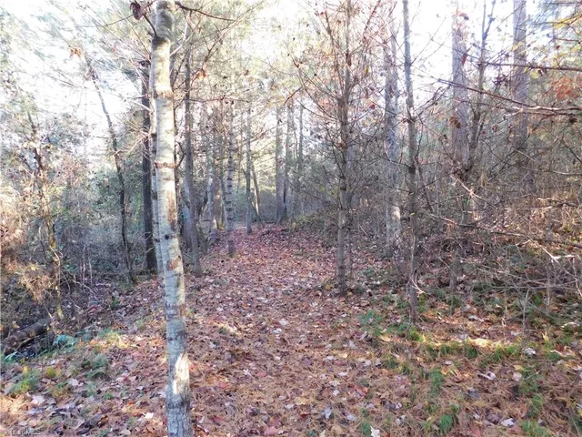 $125,000 | 0 Billings Hill Church Road, Traphill, NC 28685