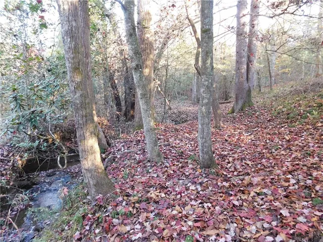 $125,000 | 0 Billings Hill Church Road, Traphill, NC 28685