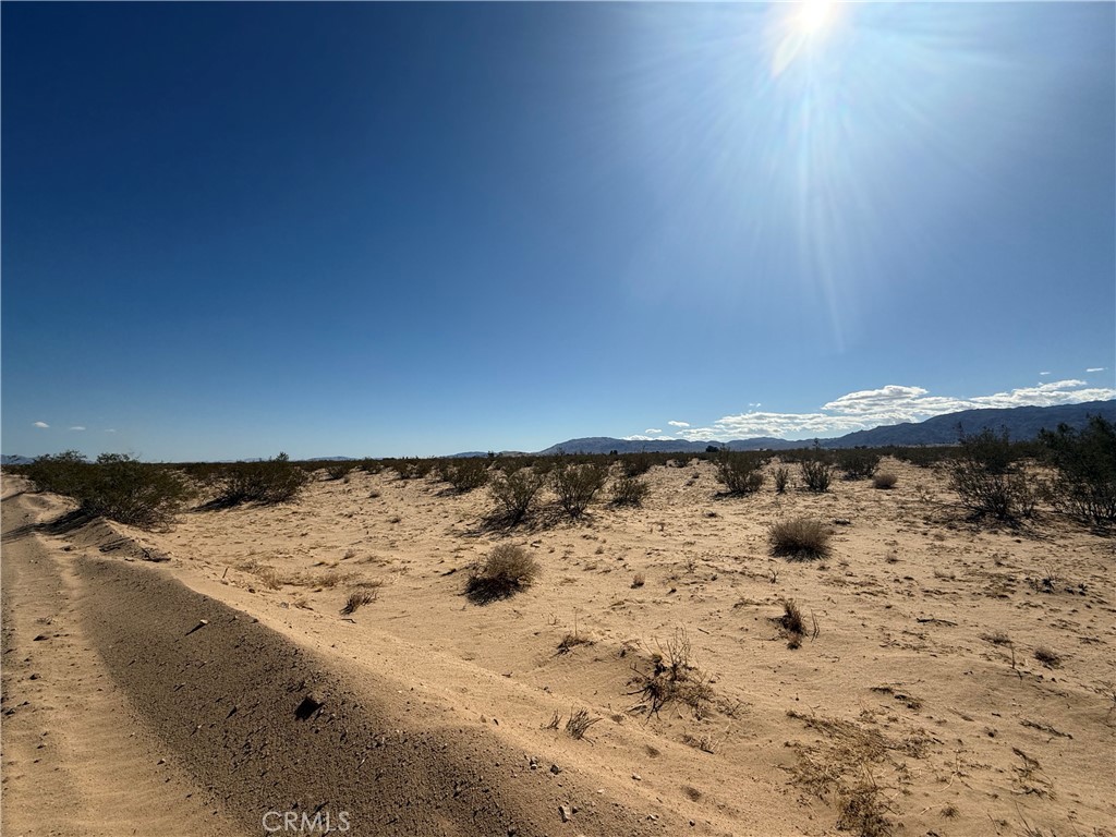 5101 Gilbert Road Twentynine Palms, CA 92277 - Photo 5 of 6