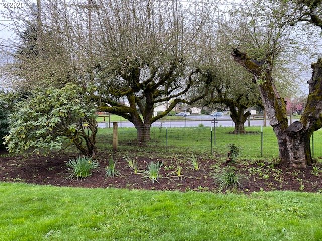 3308 Wisteria Street Eugene, OR 97404 - Photo 14 of 19 a view of yard with green space