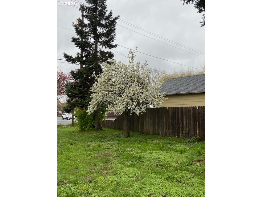 3308 Wisteria Street Eugene, OR 97404 - Photo 17 of 19 a view of a backyard
