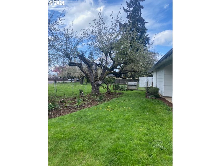 3308 Wisteria Street Eugene, OR 97404 - Photo 19 of 19 a view of a backyard with large trees
