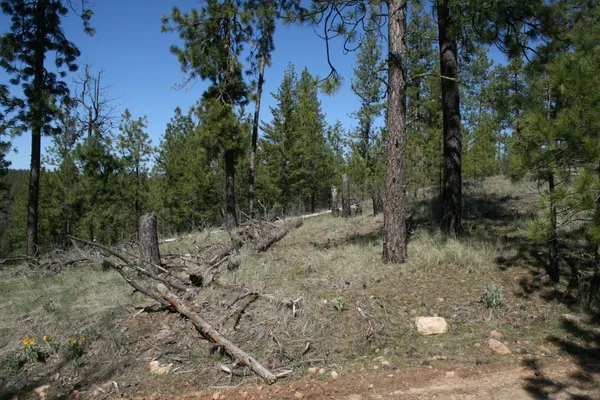 $49,000 | Xx Coyote Canyon Road, Fruitland, WA 99129