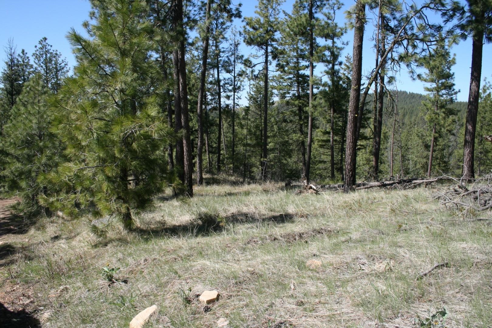 Xx Coyote Canyon Road Fruitland, WA 99129 - Photo 5 of 5