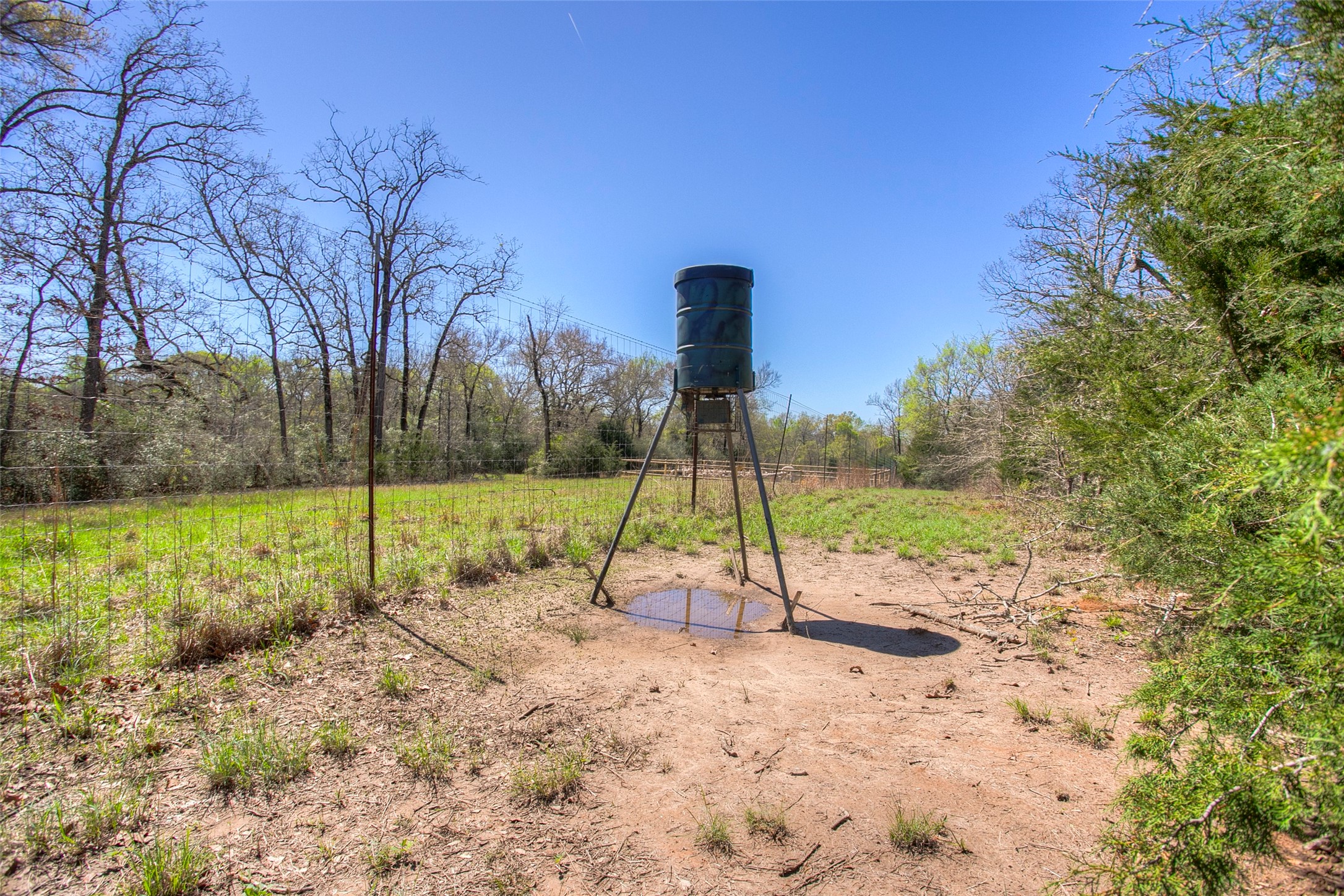 482 County Road 482 Normangee, TX 77871 - Photo 15 of 49
