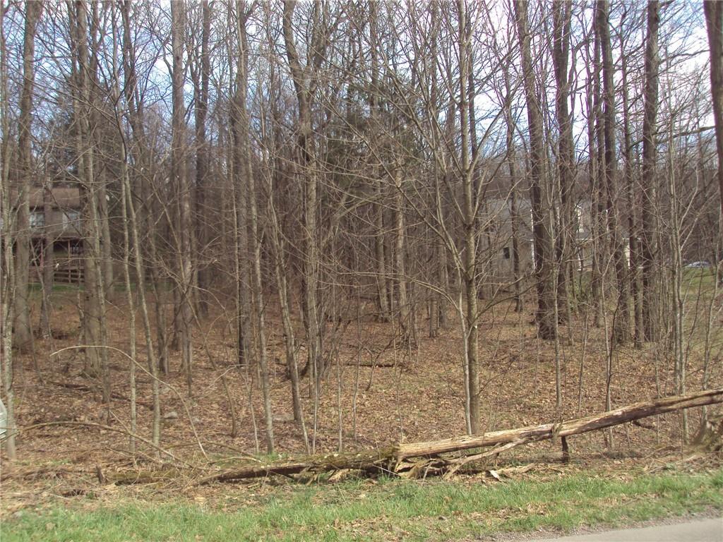 0 Garrett Shortcut Road Berlin, PA 15530 - Photo 13 of 15